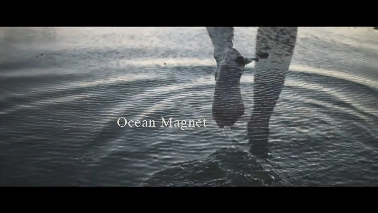 Ocean Magnet海洋磁铁